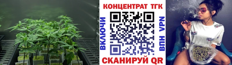 Купить закладки  Бавлы  ТГК вейп 